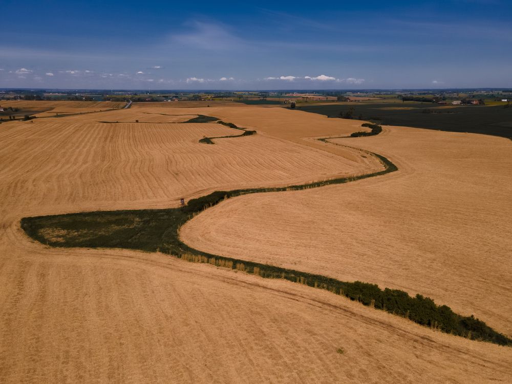 Photograph by Вячеслав Карабаш