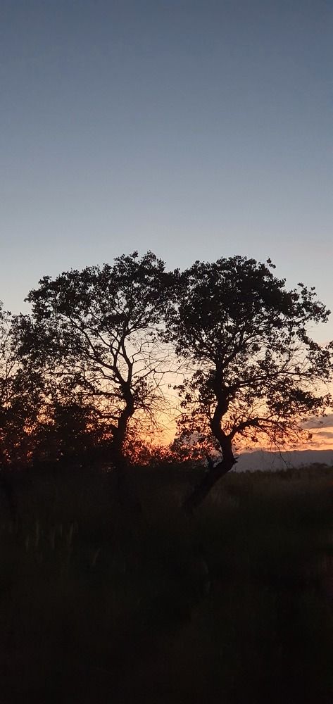 Photograph by Юрий Дергунов