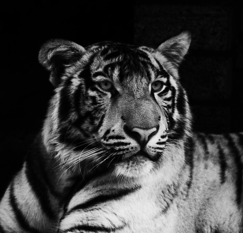 Photograph by Jason Hioe