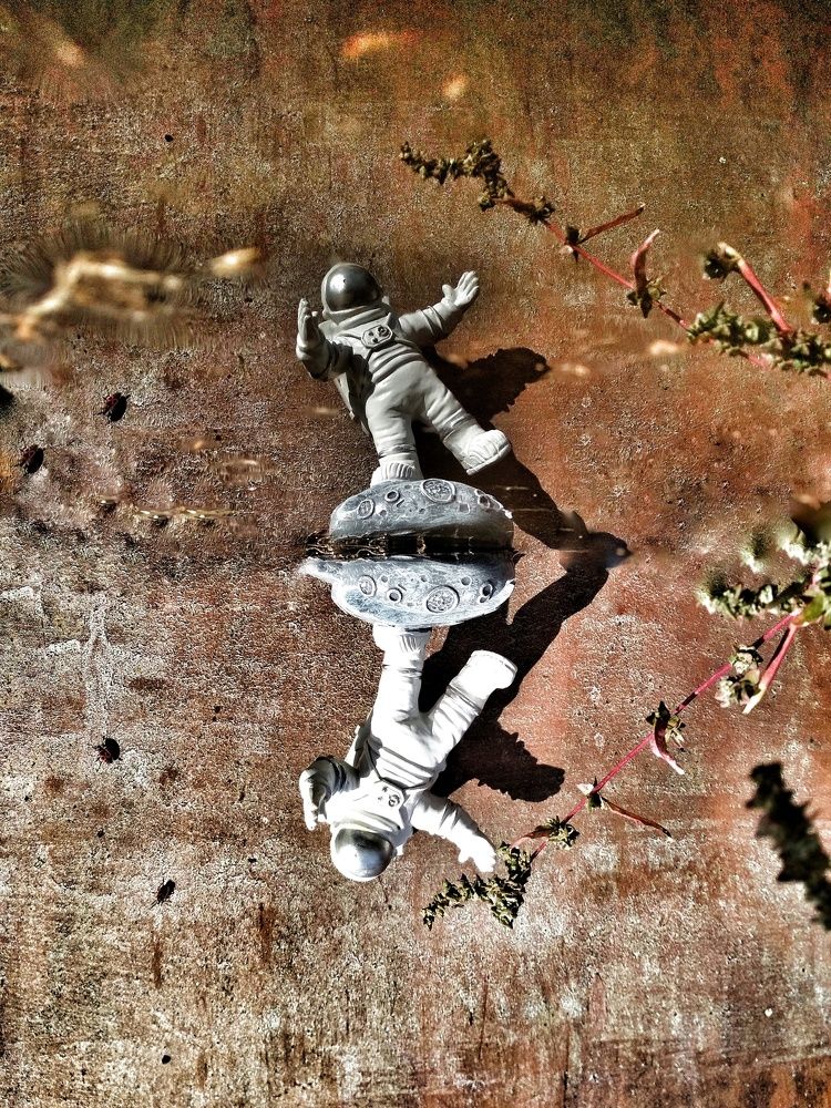 Photograph by Ellina Asaup