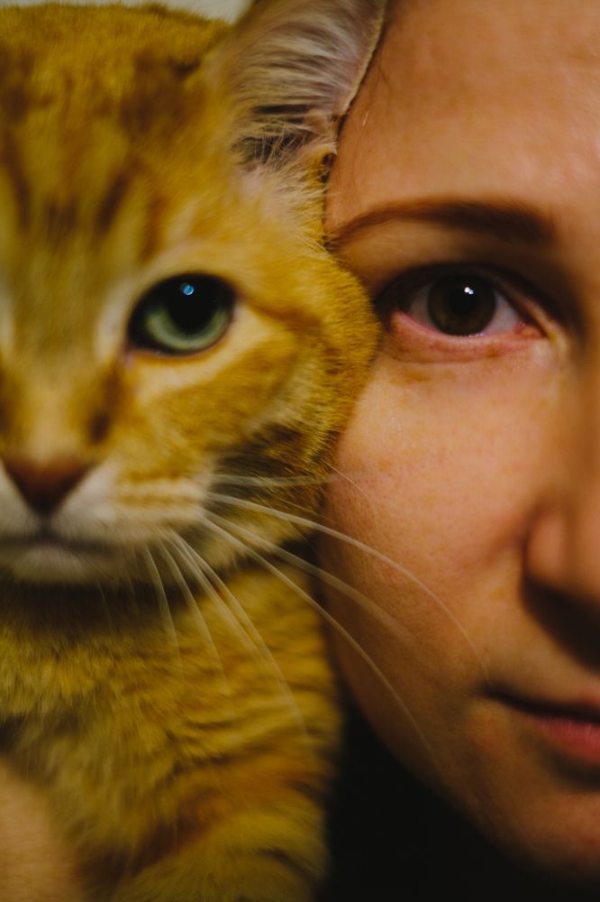 Photograph by Marie Renarde