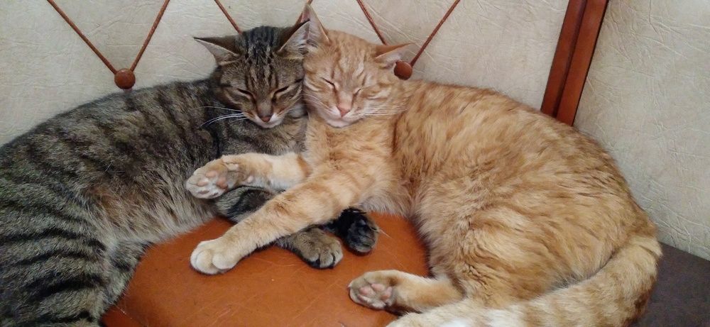Photo #6852712