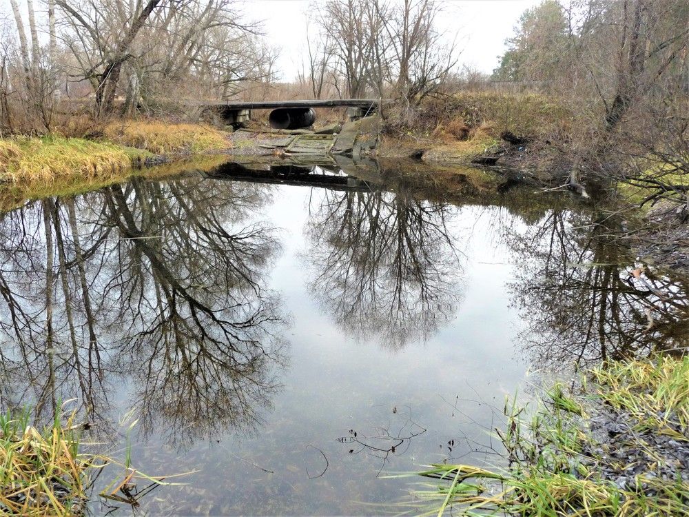 Photograph by Галина