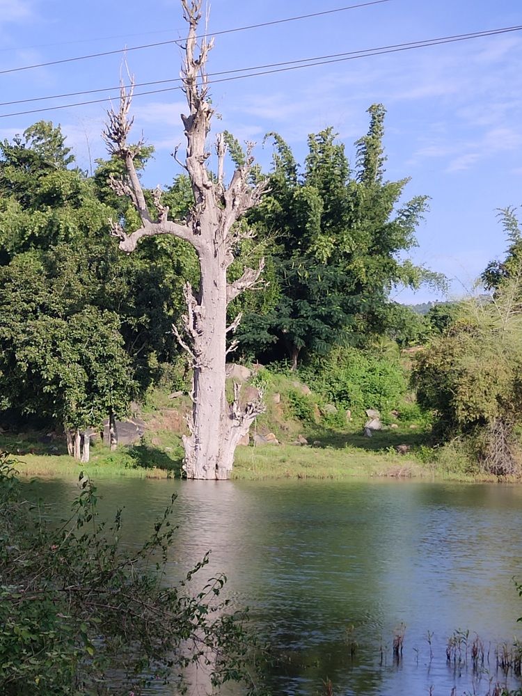 Photograph by Diwakaran D