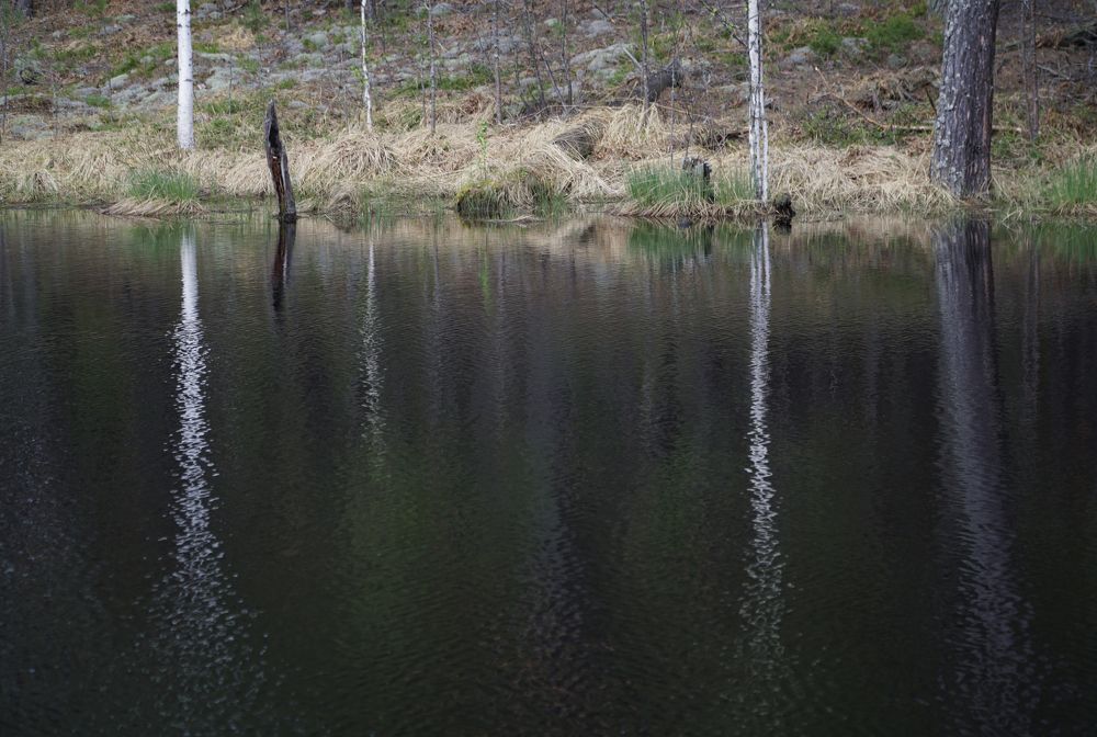 Photograph by Измаил Ефимов