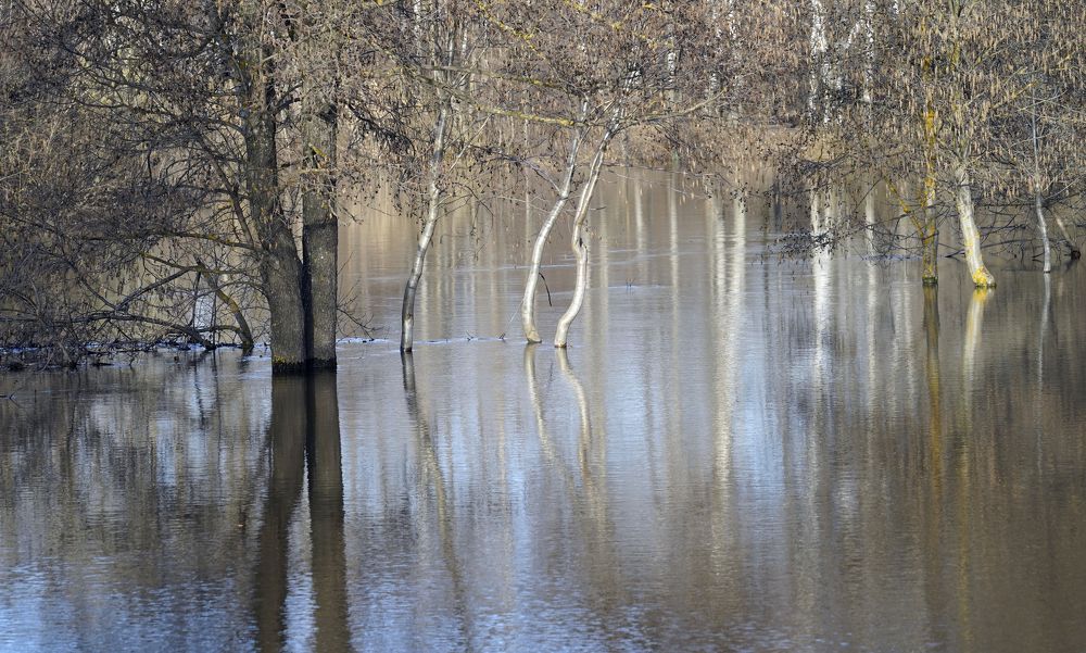 Photograph by Измаил Ефимов