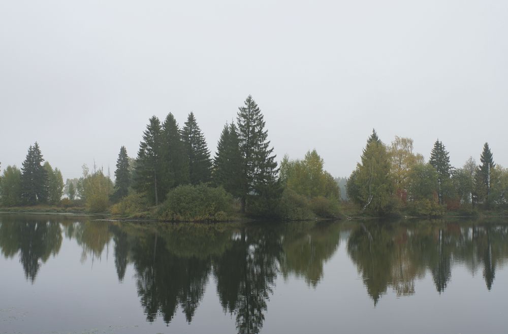 Измаил Ефимов. Россия, г.Йошкар-Ола. Туманный день. Краснооктябрьский пруд. 2021. 2022.