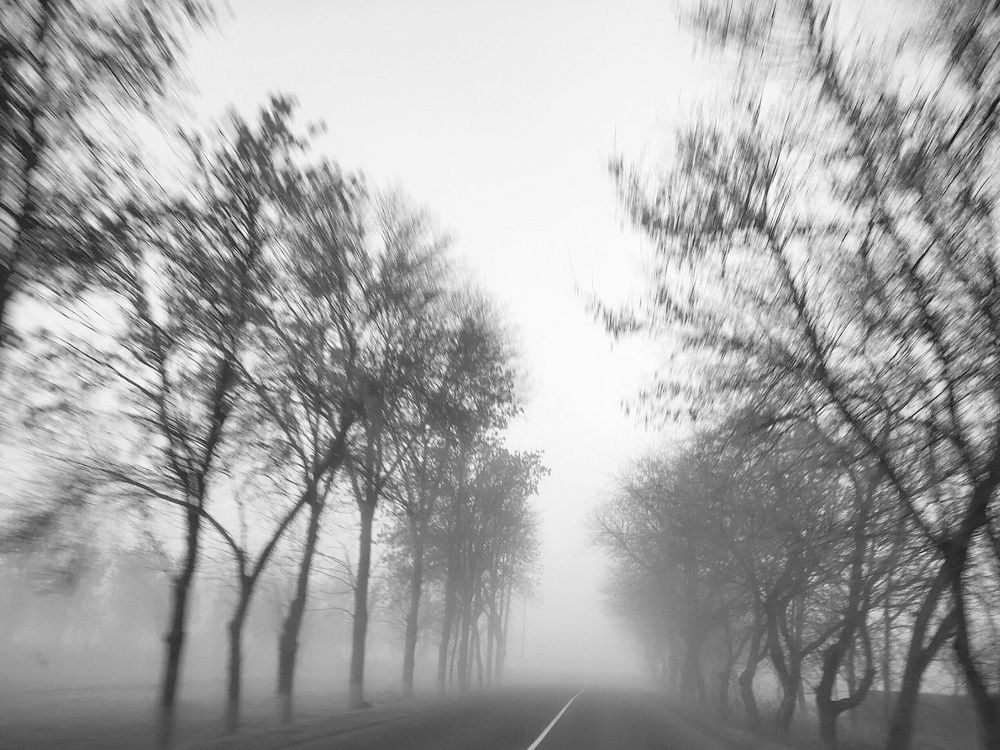 Photograph by Halina