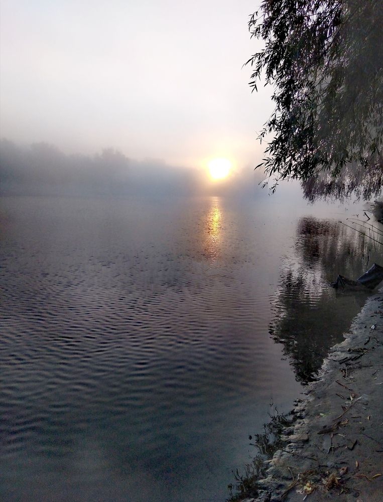 Photograph by Анна Гросу