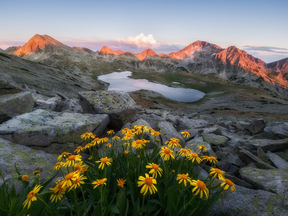 Photograph by Костадин Маджаров