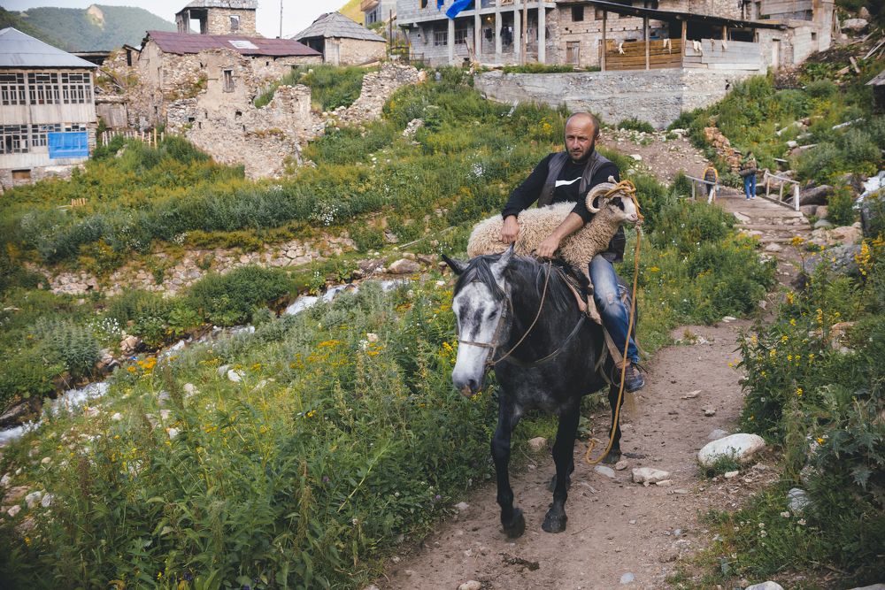 Фотография автора Vakhtangi Janjgava