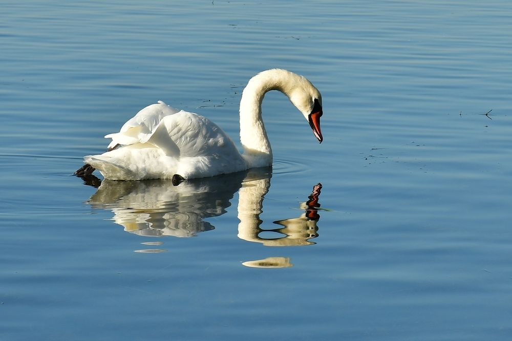 Photograph by Бахарева Людмила