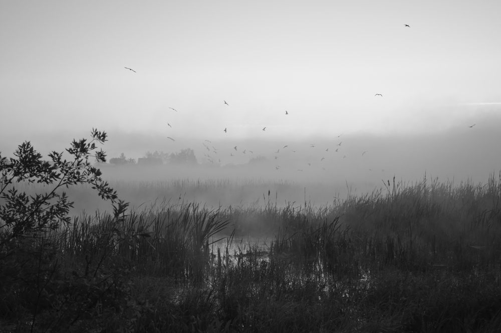 Photograph by Александр Корчагин