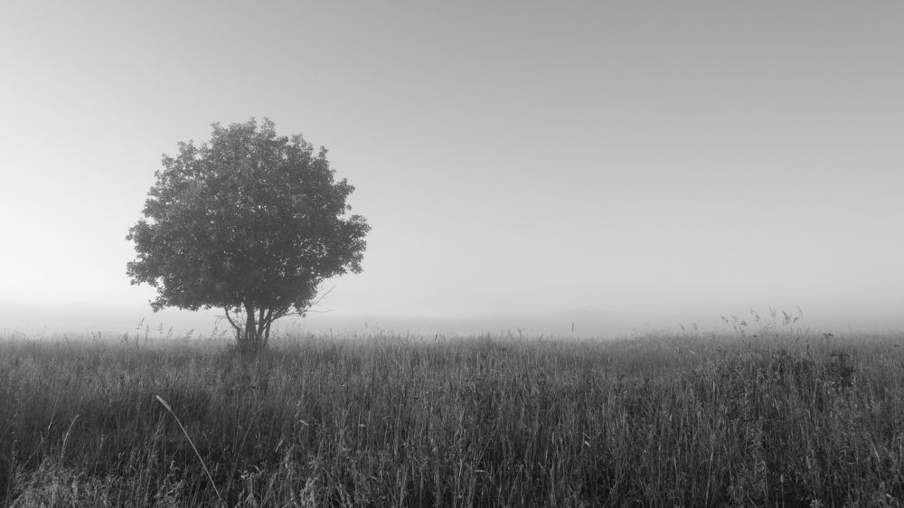 Photograph by Александр Корчагин