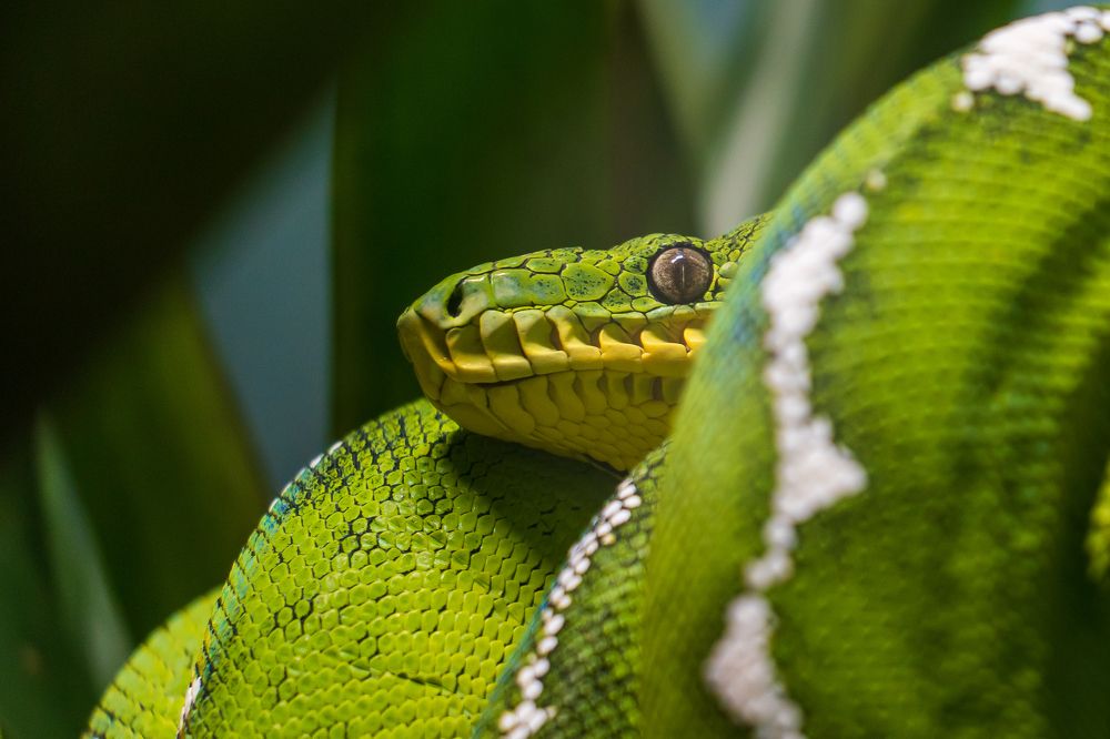 Фотография автора Patricia Machado