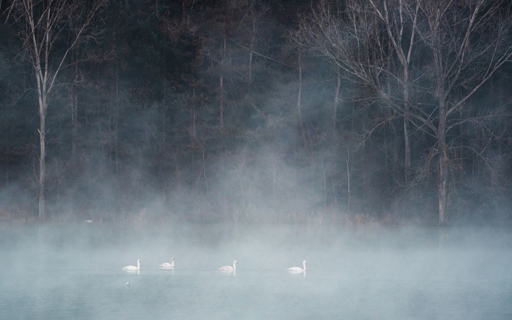 Photograph by Alin Bicas