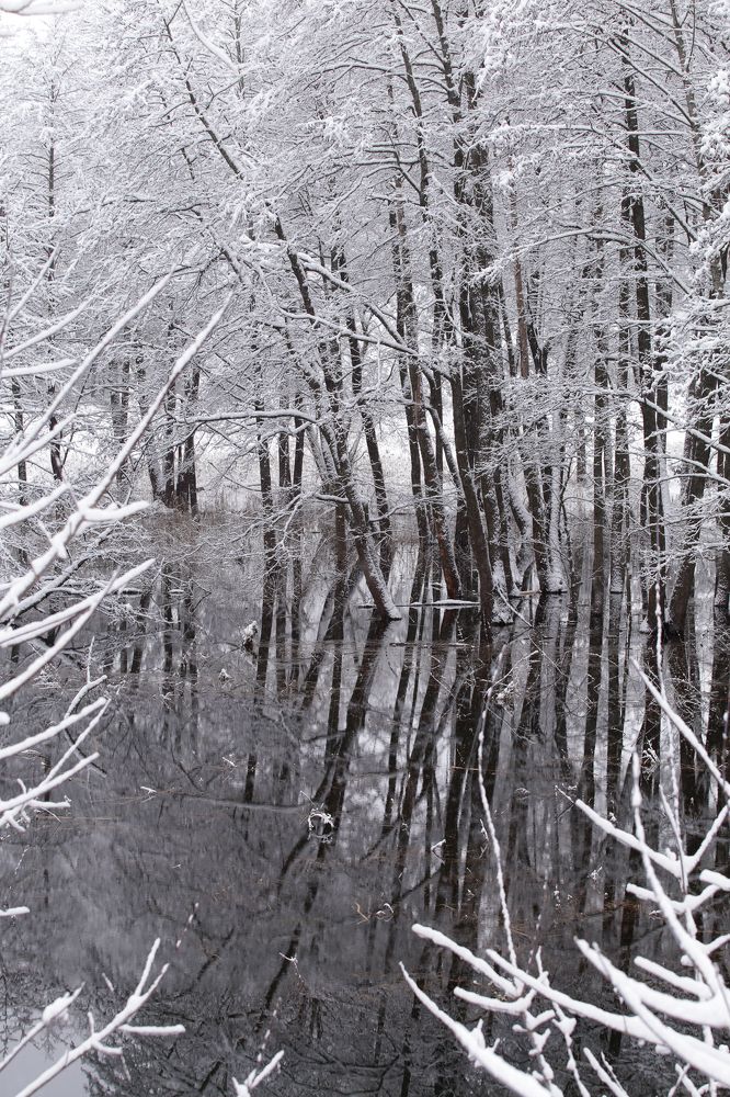 Photograph by Karina