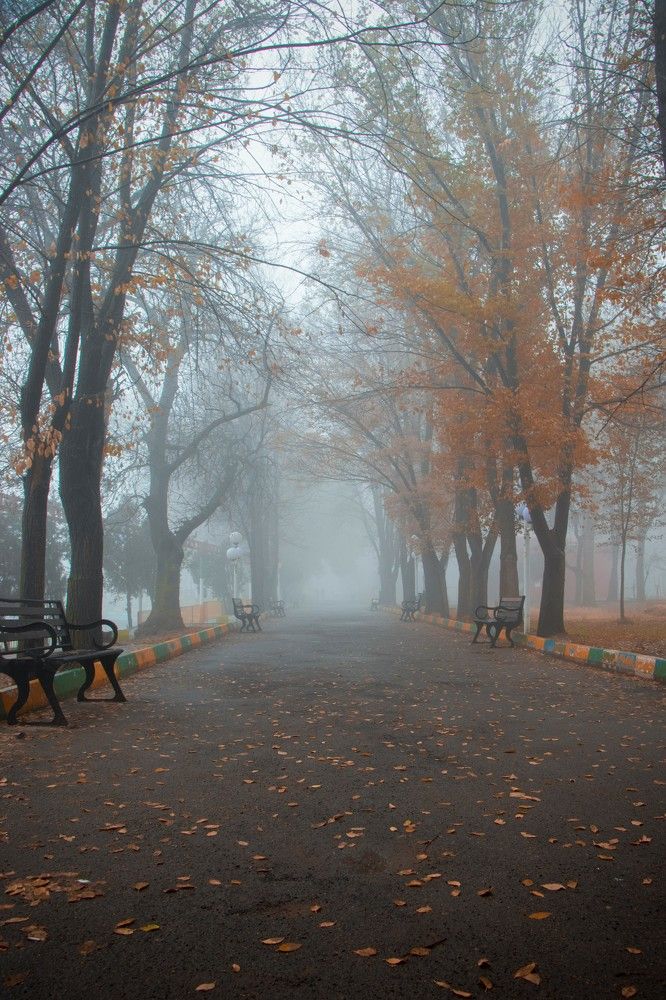 Photograph by Reza Heydari