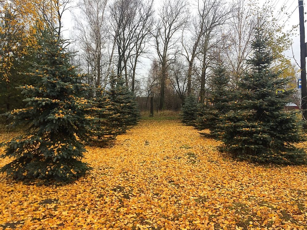 Photograph by Лавренева Алла