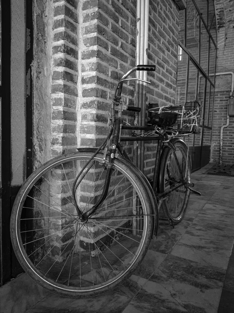 Фотография автора Sajjad Hoseinabadi