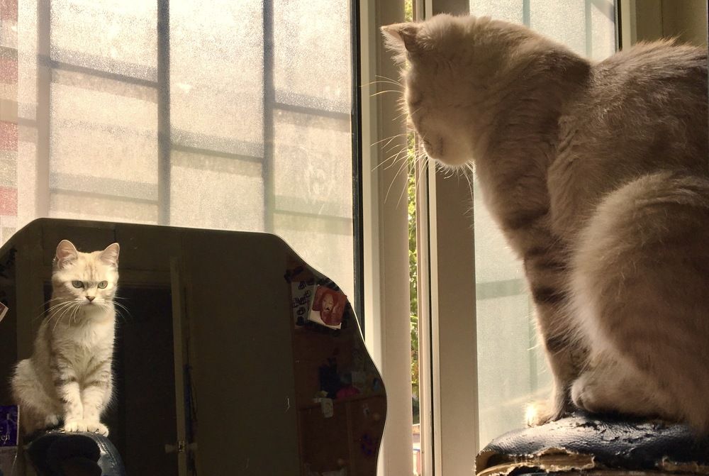 Photograph by Елена Ким