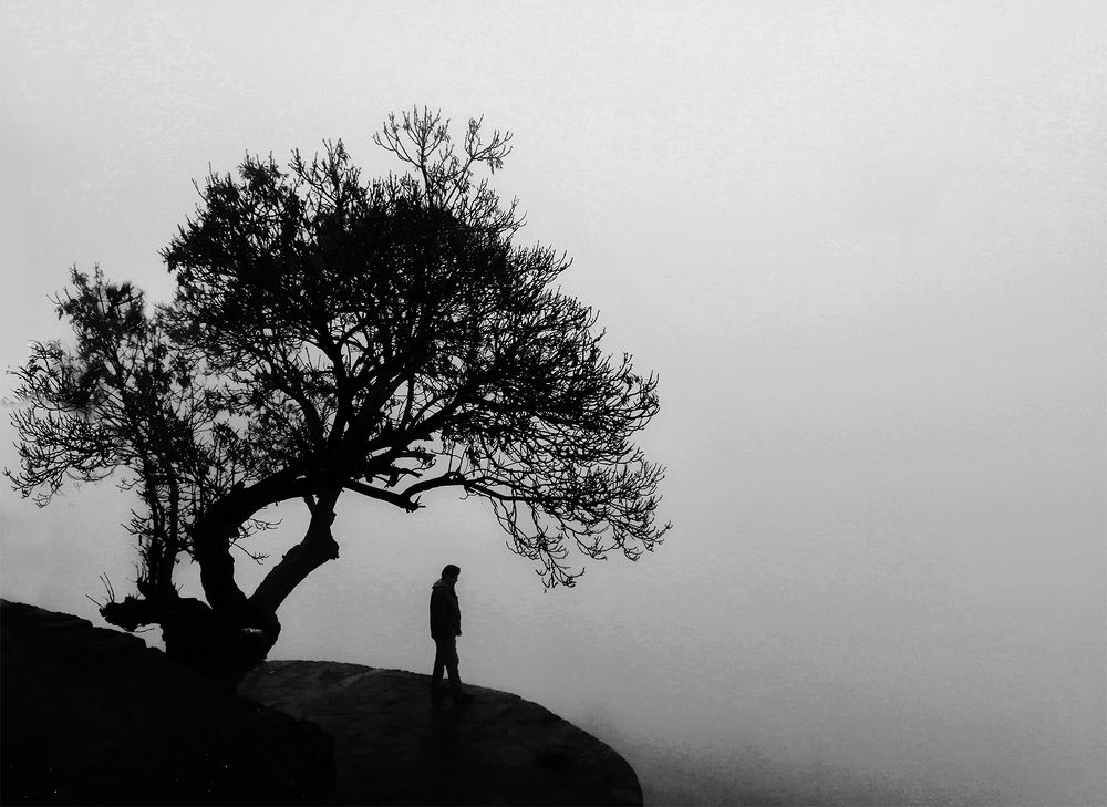 Фотография автора morteza solgi