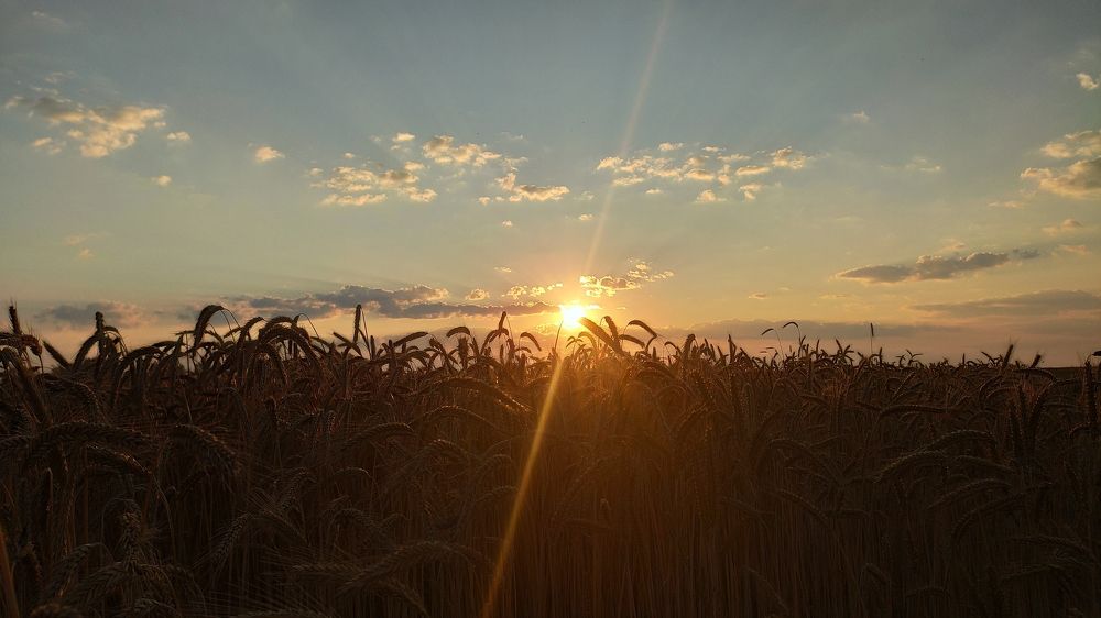 Photograph by Артём Кривой