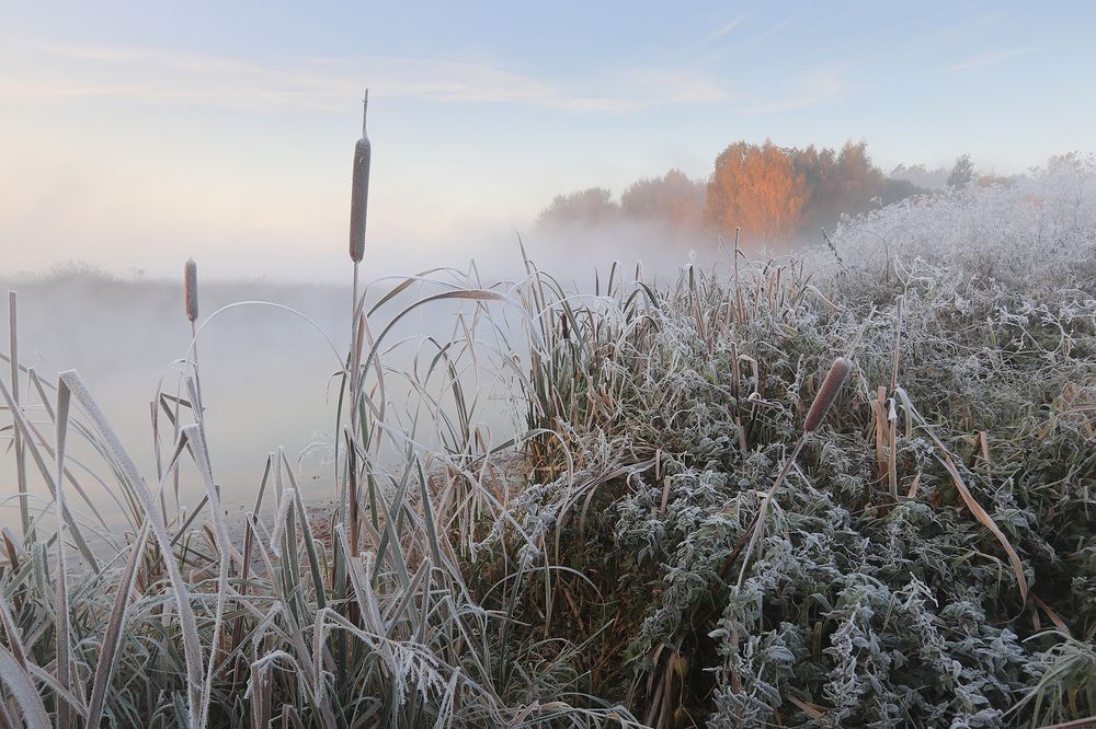 Photograph by Владимир Науменко