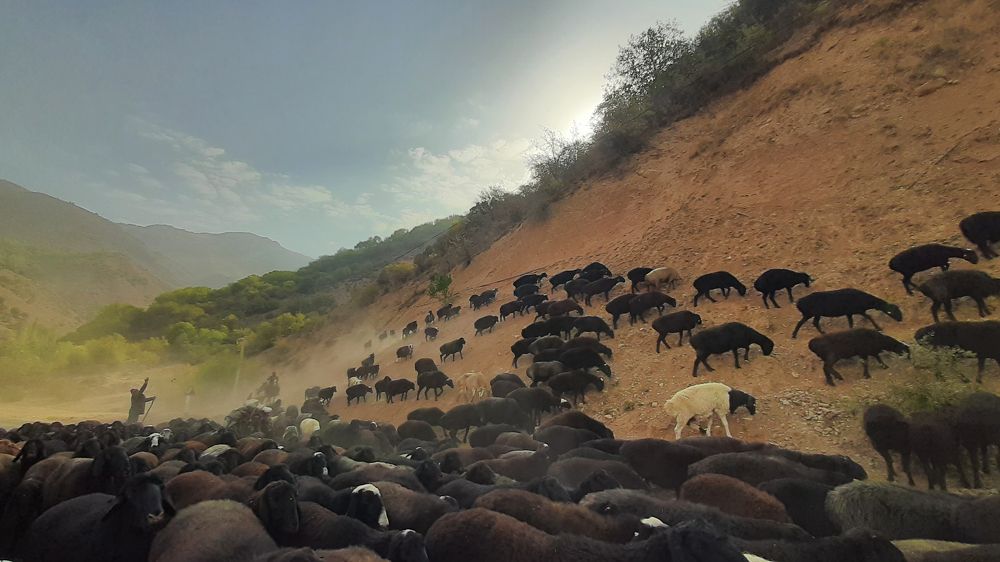 Photograph by Тимур Еримбетов