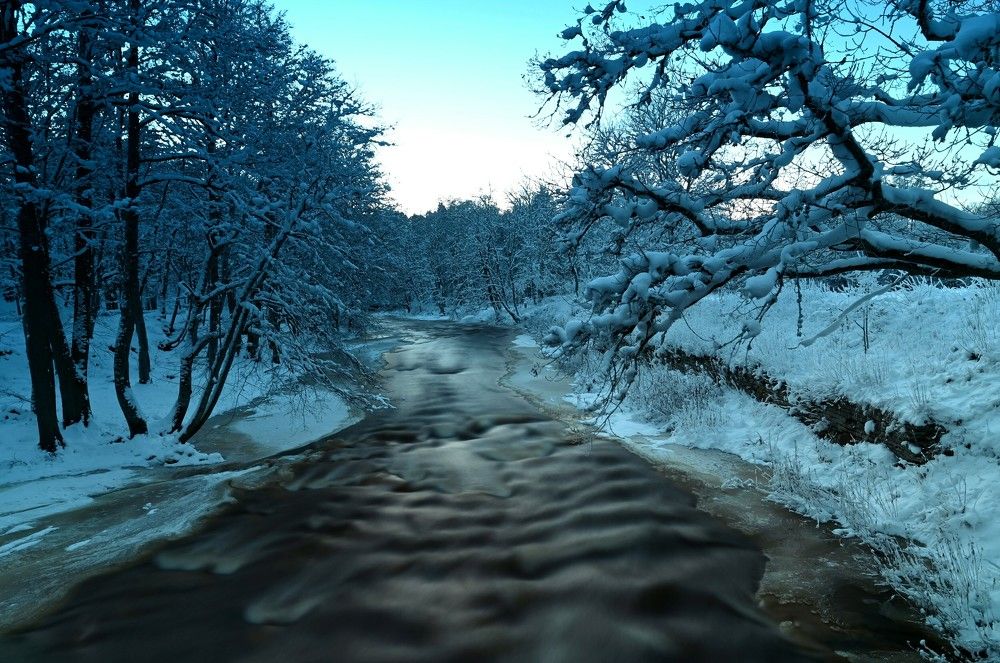 Photograph by Ija Reiman