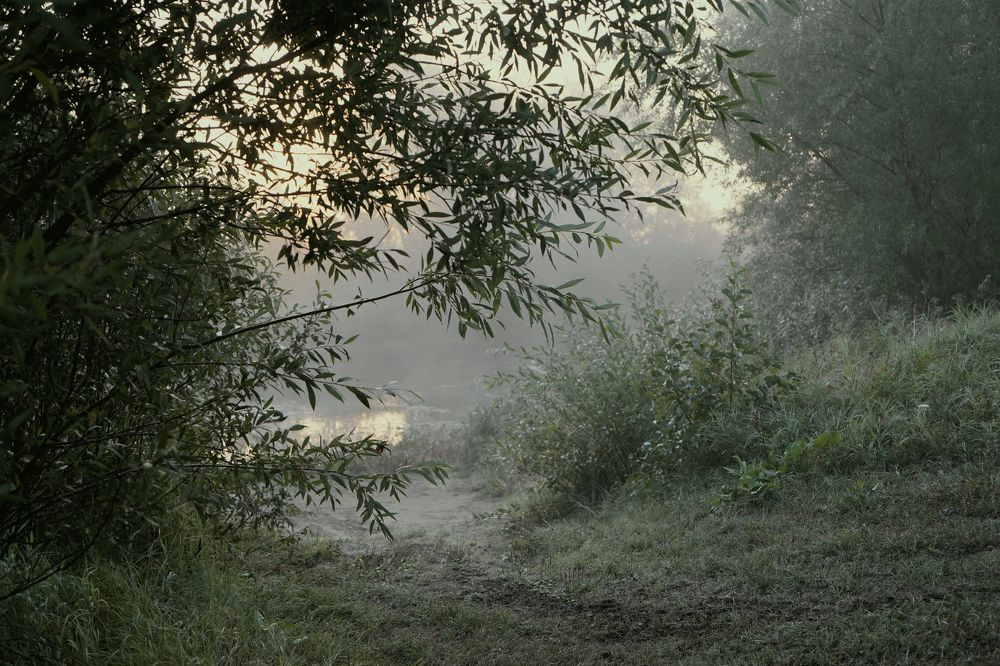 Photograph by Измаил Ефимов