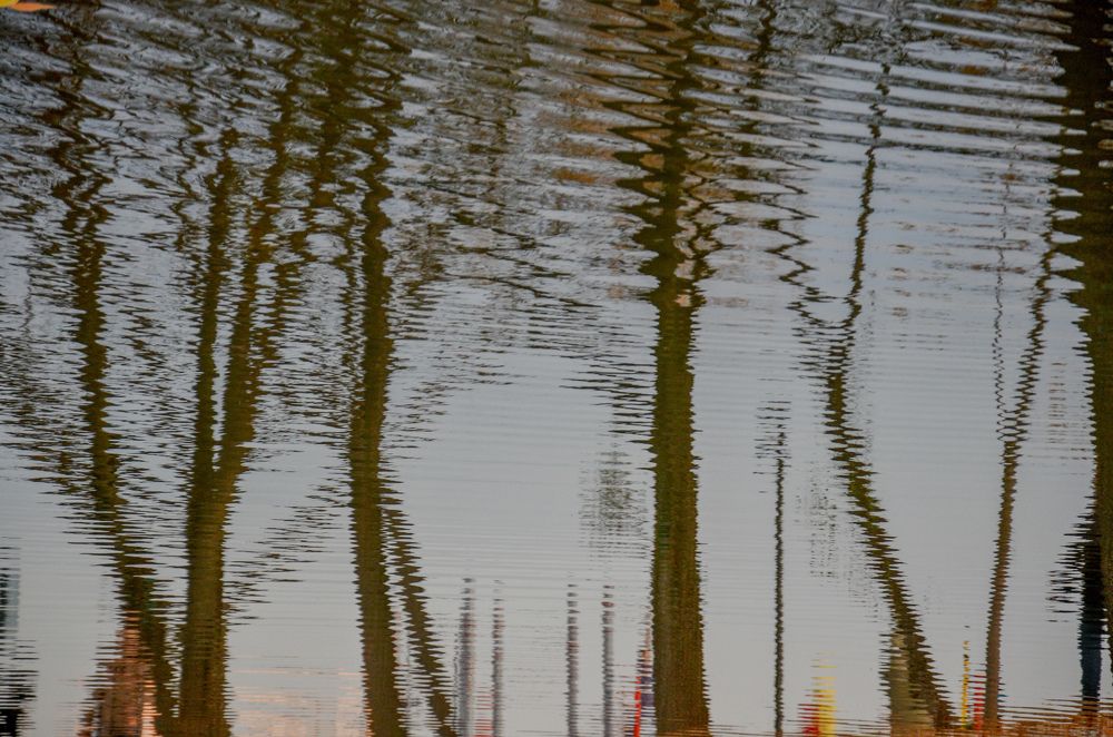 Фотография автора Алина Черняева