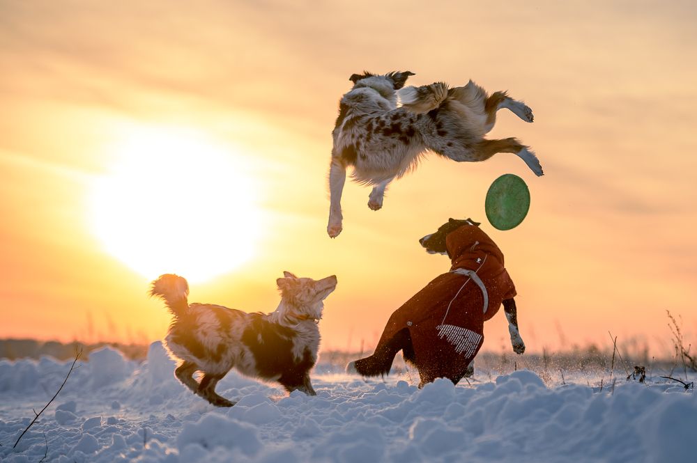 Photograph by Alexander Vlasov