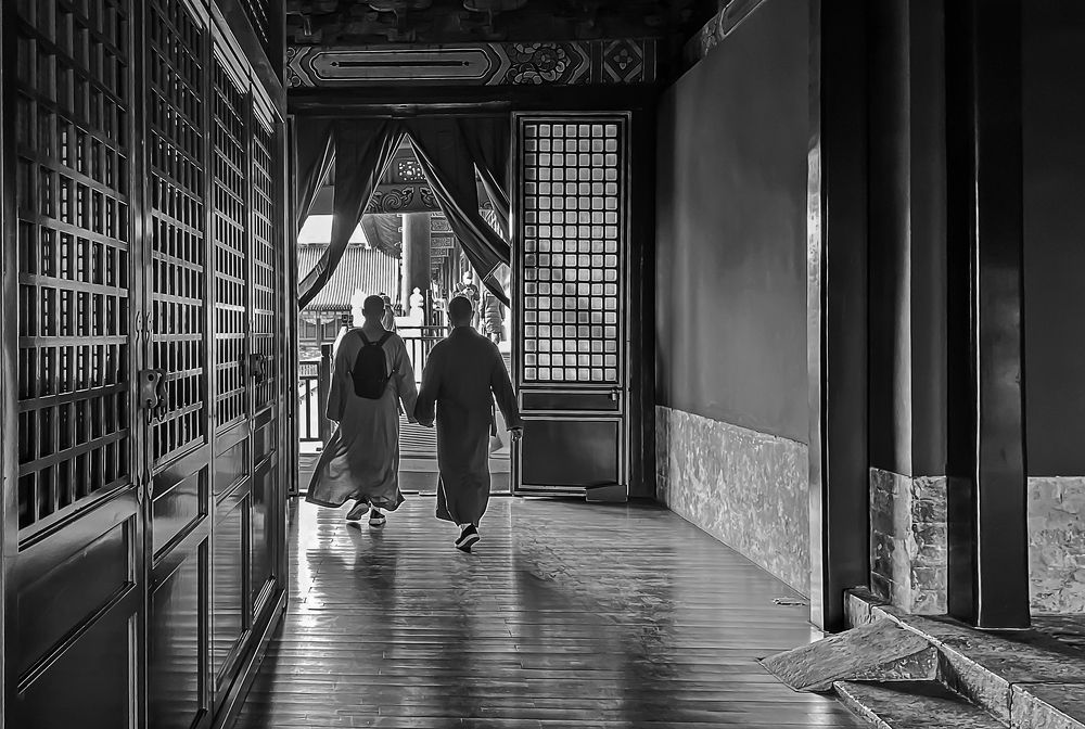 Photograph by 张 旭