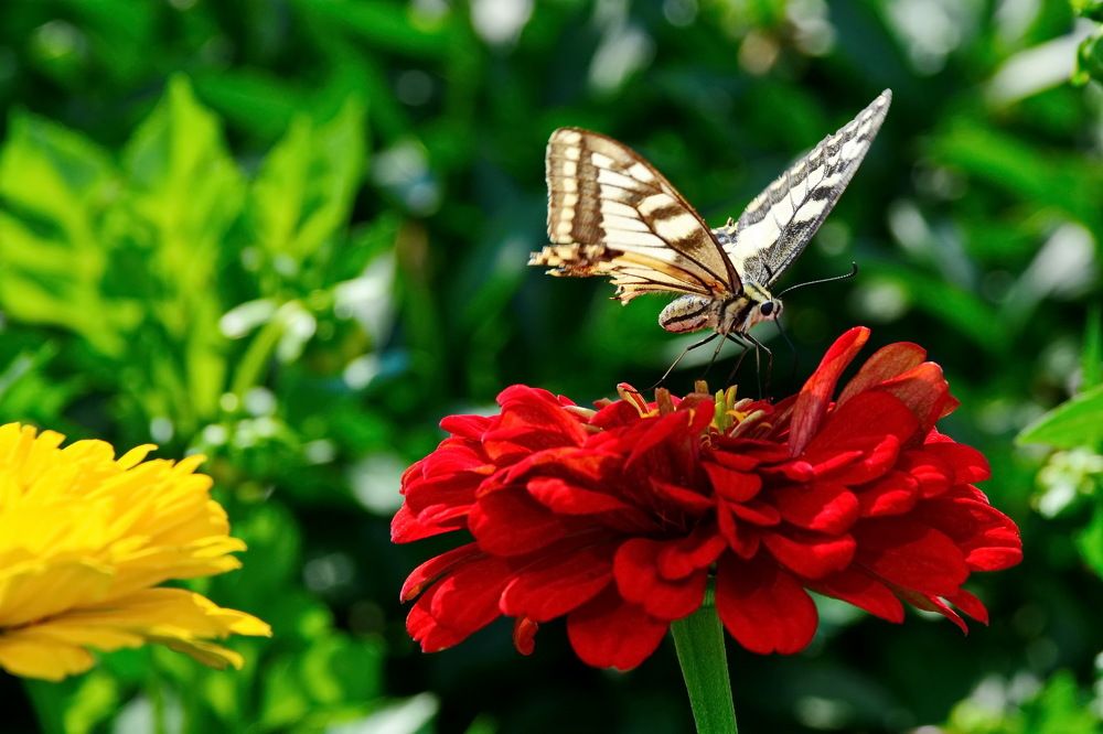 Photograph by Andrey