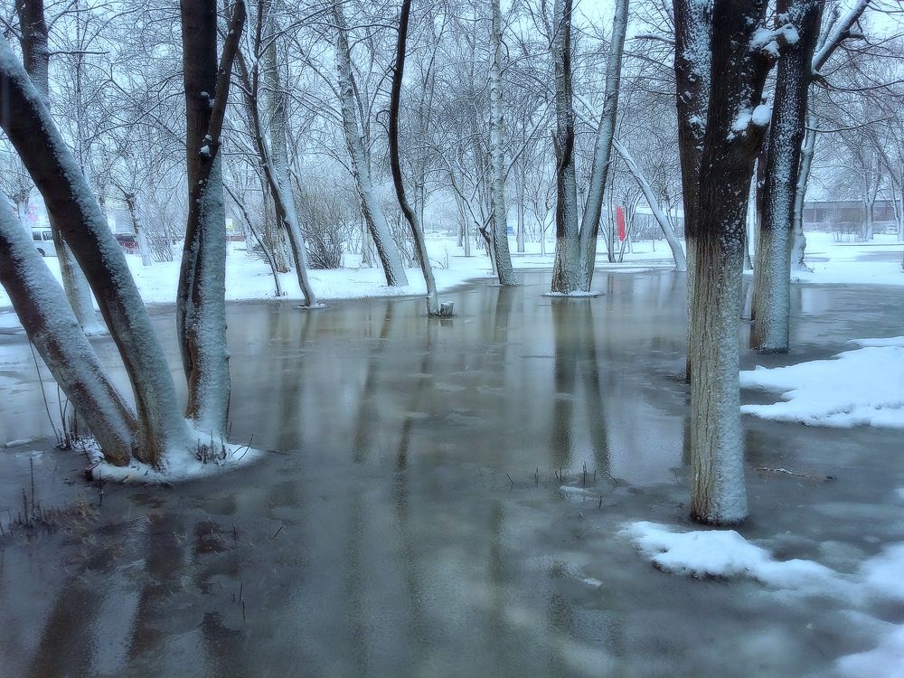 Photograph by Карина Шаланкова