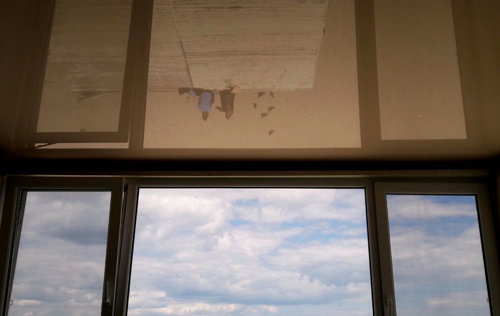 Фотография автора Алина Прищепа