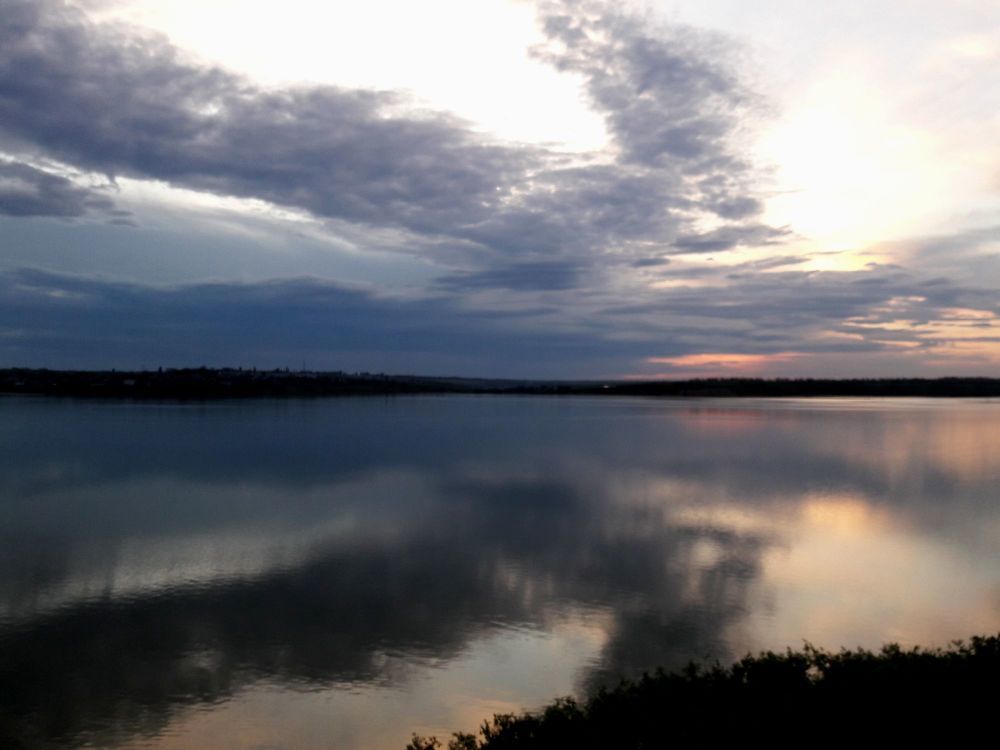 Фотография автора Алина Прищепа