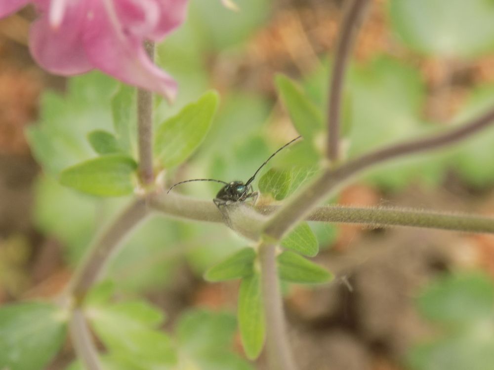 Фотография автора Станислав Рушкис