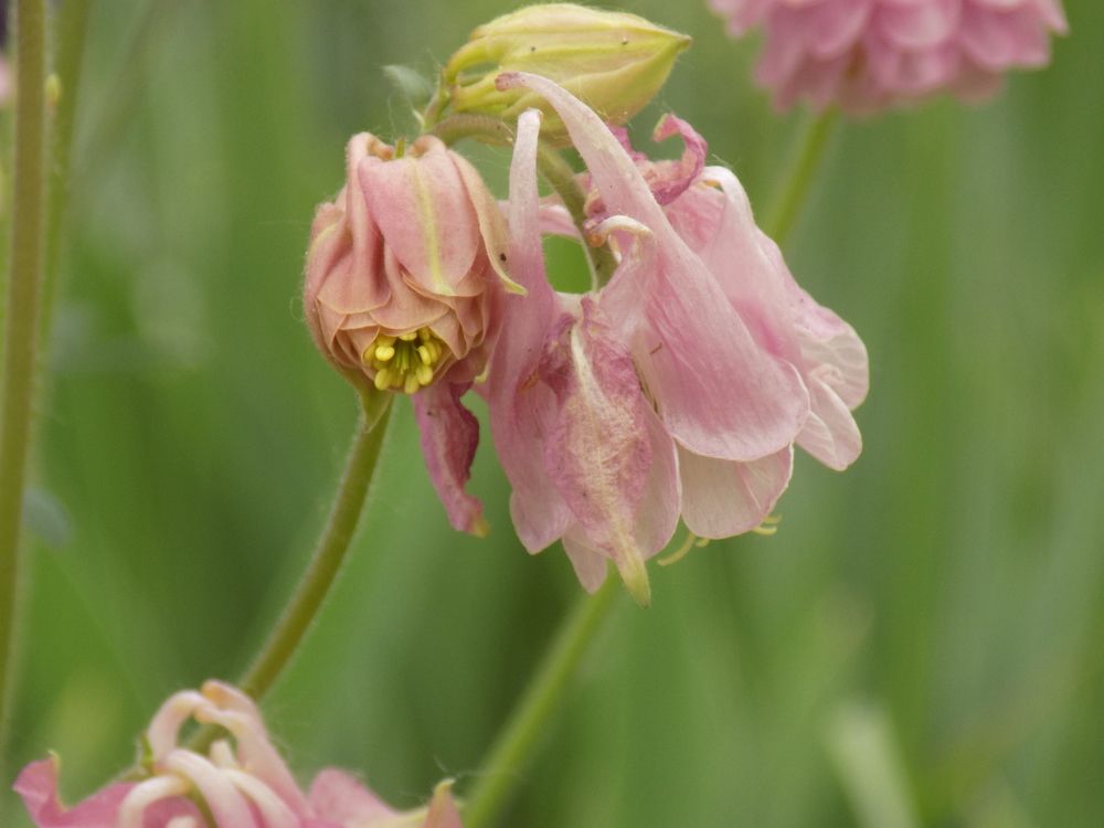 Фотография автора Станислав Рушкис