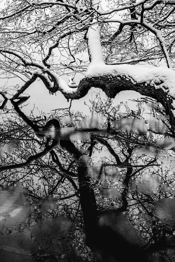 Photograph by Ксения Лаевская