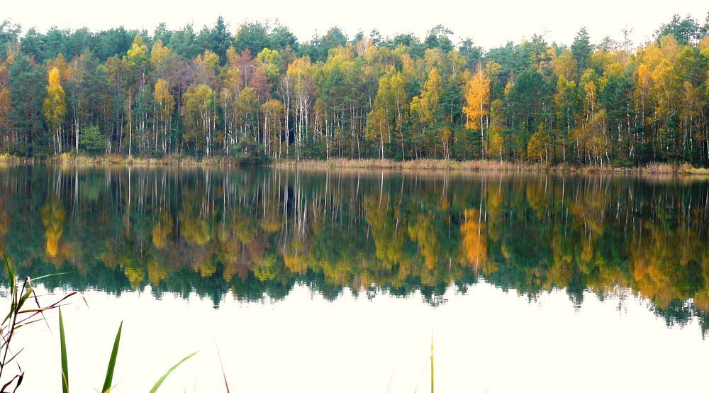 Photograph by леонид натапов