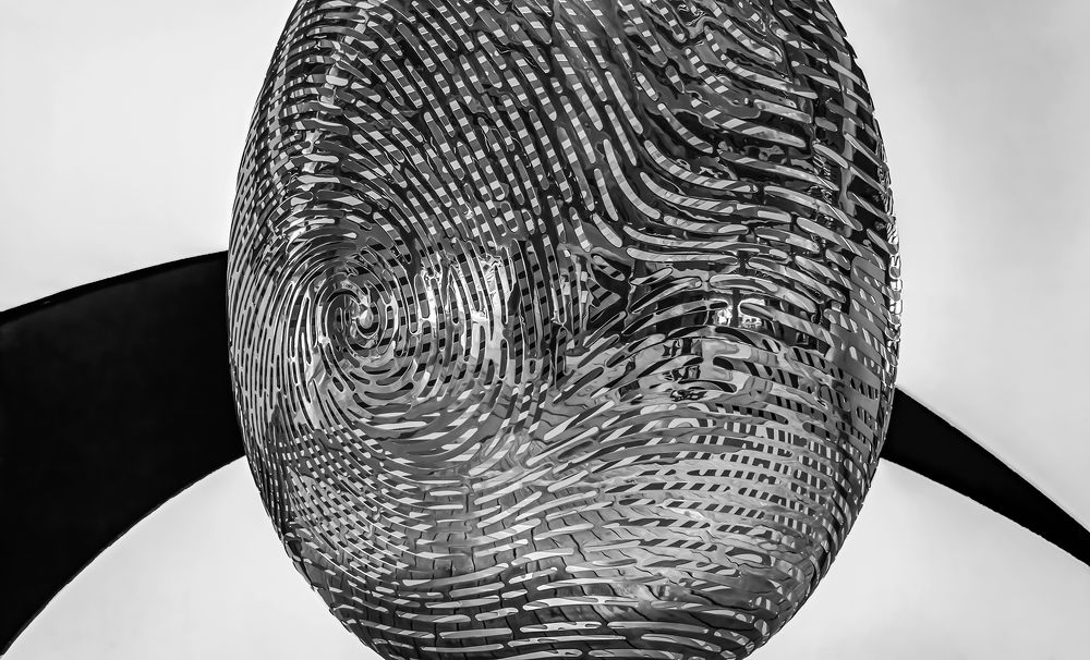 Photograph by 张 旭