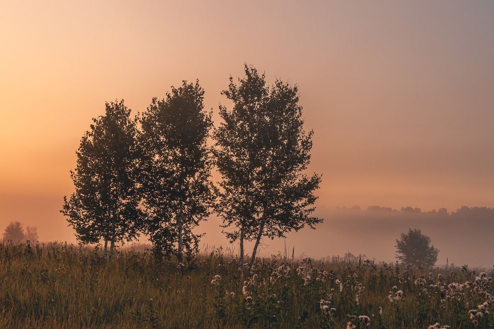 Photograph by Евгений Москвин