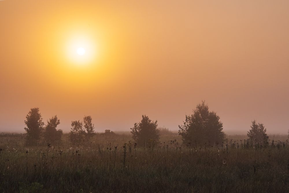 Photograph by Евгений Москвин