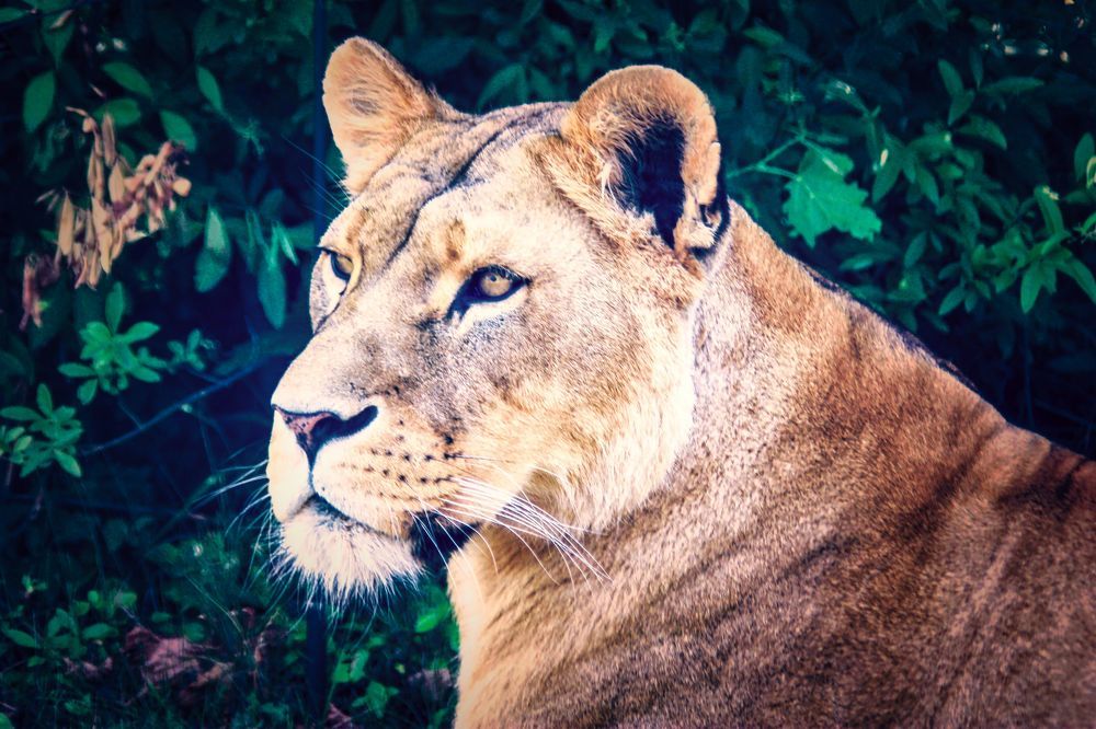 Photograph by Sandor Zoltan Gal