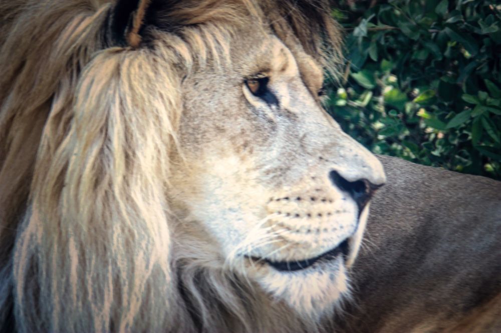 Photograph by Sandor Zoltan Gal