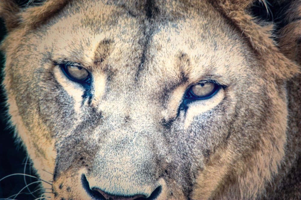 Photograph by Sandor Zoltan Gal