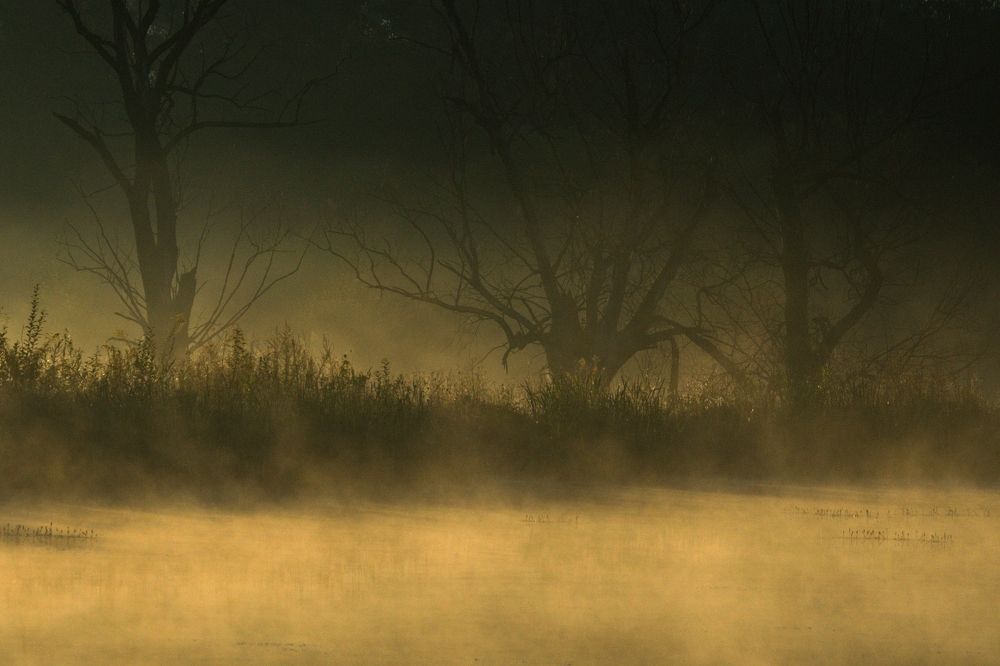 Фотография автора Edita Šidélková