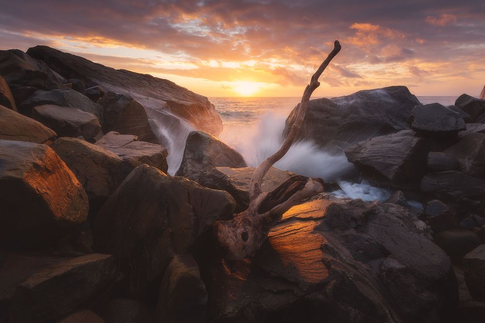 Photograph by Oleg Feofanov